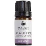 Odylique Směs Esenciálních Olejů pro Dýchací Cesty Dospělých Breathe Ease 10 ml – Hledejceny.cz