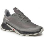 Salomon Alphacross 5 473133 29 W0 Pewter/Black/Ghost Gray – Zboží Dáma