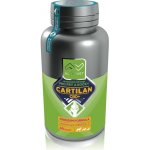 Altervet Cartilan CBD+ 60 g 40 tbl – Hledejceny.cz