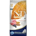 N&D Ancestral Grain Puppy Medium & Maxi Lamb & Blueberry 12 kg – Zbozi.Blesk.cz