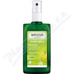 Weleda Citrus deospray 100 ml – Hledejceny.cz