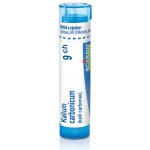 KALIUM CARBONICUM POR 9CH GRA 1X4G – Hledejceny.cz