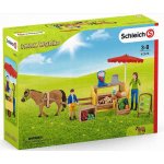 Schleich 42528 Mobilní farmářský stánek – Hledejceny.cz