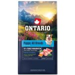 Ontario Puppy & Junior All Breeds Monoprotein Turkey & Sweet Potatoes 6,5 kg – Hledejceny.cz