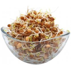 Toraf Microgreens, semínka na klíčky - Čočka 20g