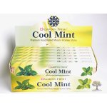 Garden Fresh indické vonné tyčinky Cool mint 15 g – Zboží Dáma