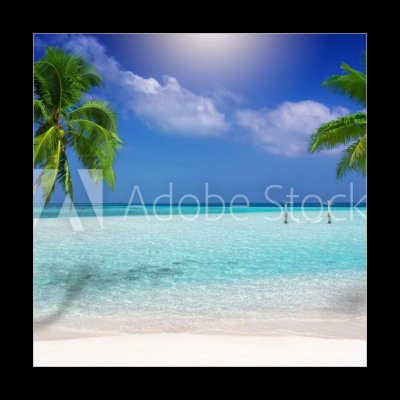 Obraz 1D - 50 x 50 cm - Traumstrand in den Tropen mit trkisem Meer, Kokosnusspalmen und feinem Sand Dream beach v tropech s tyrkysovým mořem, kokosovými palmami a jemným