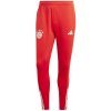 Pánské tepláky adidas kalhoty FC Bayern Training Panty M IQ0605 pánské