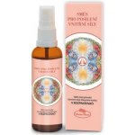 Hanna Maria Směs pro posílení vnitřní síly živlová aromaterapie Oheň 50 ml – Hledejceny.cz