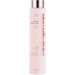 Miriam Quevedo Black Baccara Hair Multiplying Mask 250 ml – Zboží Dáma