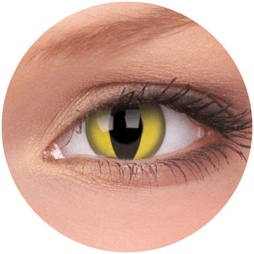 Gelflex Kontaktní čočky Kočičí oči - nedioptrické jednodenní 2 čočky