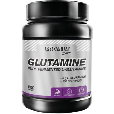 Prom-IN Glutamine Micro Powder 500 g – Zboží Mobilmania