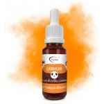 Aromaterapie KH Ušní olej Candiear při výskytu kvasinek 20 ml – Zboží Mobilmania