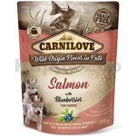 Carnilove Dog Pouch Paté Salmon with Blueberries for Puppies 300 g – Zboží Mobilmania