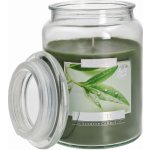 Bispol Aura Maxi Green Tea 500 g – Zbozi.Blesk.cz