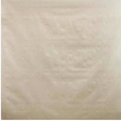 BytoTex Omyvatelný PVC ubrus bílý v šířce 140 cm – Sleviste.cz