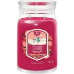 Yankee Candle Santa On Skis Signature 567 g – Zboží Dáma