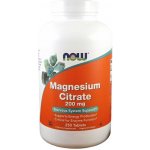 Now Foods Magnesium Citrate 200 mg 250 tablet – Hledejceny.cz