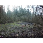 OXE Panther 4G – Zboží Živě