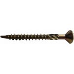 Vruty RAPI-TEC BSP 4x40mm TX20 galvanický zinek – Hledejceny.cz