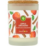 Air Wick Essentials Oils Apple Orchard & Ceylon Cinnamon 185 g – Hledejceny.cz
