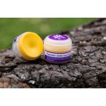 Ecopets balzám na tlapky a čenich s rakytníkem 30 ml – Hledejceny.cz