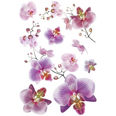 Samolepicí dekorace Orchidej SM-3440 rozměry 42,5 x 65 cm