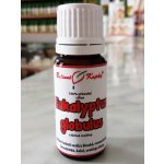Bylinné kapky Eukalyptus globulus 100 % přírodní silice esenciální éterický olej 10 ml – Hledejceny.cz