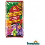 Forestina Substrát pro pokojové rostliny 20 l – Hledejceny.cz