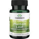 Swanson Plantain Jitrocel Větší 400 mg 60 kapslí – Hledejceny.cz