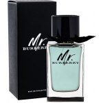 Burberry Mr. Burberry toaletní voda pánská 150 ml – Hledejceny.cz