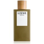 Loewe Esencia toaletní voda pánská 150 ml – Hledejceny.cz