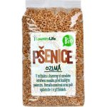 Country Life Pšenice ozimá zrno BIO 1 kg – Zboží Dáma