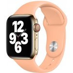 Apple Watch MJK63ZM/A – Sleviste.cz