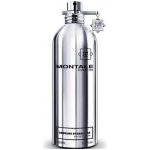 Montale Embruns d'Essaouira parfémovaná voda unisex 100 ml – Hledejceny.cz