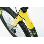 Crussis Cross Hard 6.2-1 žluto černá – Hledejceny.cz