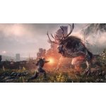 The Witcher 3: Wild Hunt GOTY – Zboží Živě