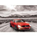 EuroGraphics Ford Mustang GT 2015 1000 dílků – Zboží Mobilmania