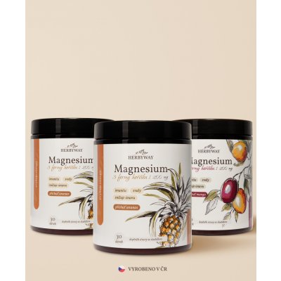 Herbs Energy Magnesium Drink Ananas 2 x 30 dávek + Magnesium Drink Mango 30 dávek – Hledejceny.cz