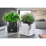 Plastkon Samozavlažovací květináč Cobble 14x14x14 cm antracitový – Zboží Dáma