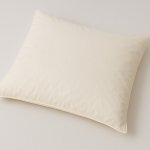 Brotex Péřový polštář CLASSIC 1100 g krémový 70x90 – Zboží Mobilmania