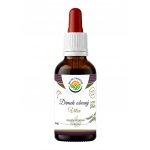 Salvia Paradise Drmek obecný AF tinktura 50 ml – Hledejceny.cz