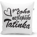 Sablio Polštář Pro toho nejlepšího tatínka 40x40 – Hledejceny.cz