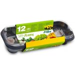 Jiffy Products Minipařeniště GH-12 + 12 ks rašelinových tablet Jiffy-7®, 27 x 11,5 x 6 cm – Hledejceny.cz