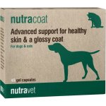 Nutravet Nutracoat pro psy a kočky 45 ks – Hledejceny.cz