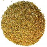 Včelí pyl přímo od včelaře DOBRIO - 500 g – Zboží Dáma