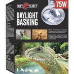 Repti Planet Daylight Basking Spot 75 W – Zboží Dáma