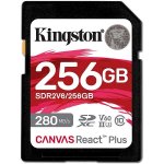 Kingston SDXC 256GB SDR2V6/256GB – Zboží Živě