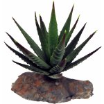 Lucky Reptile Agave malé 10 cm – Hledejceny.cz