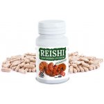 Valknut REISHI Ganoderma Lucidum extrakt 30:1VALKNUT 120 kapslí – Hledejceny.cz